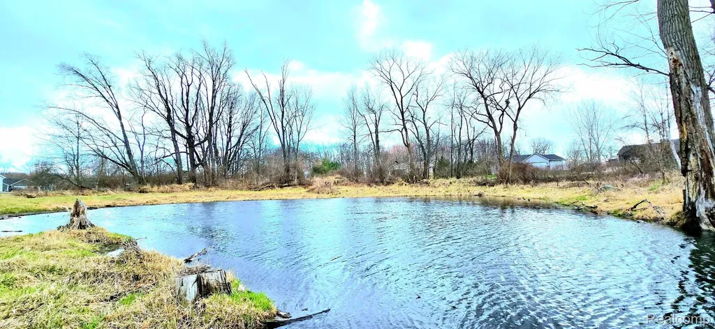 9860 Iosco Ridge Drive Iosco Township MI 48137