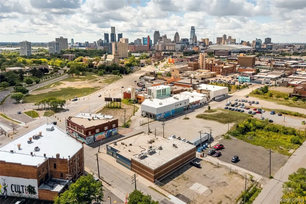 1956 Alfred Street Detroit City MI 48207