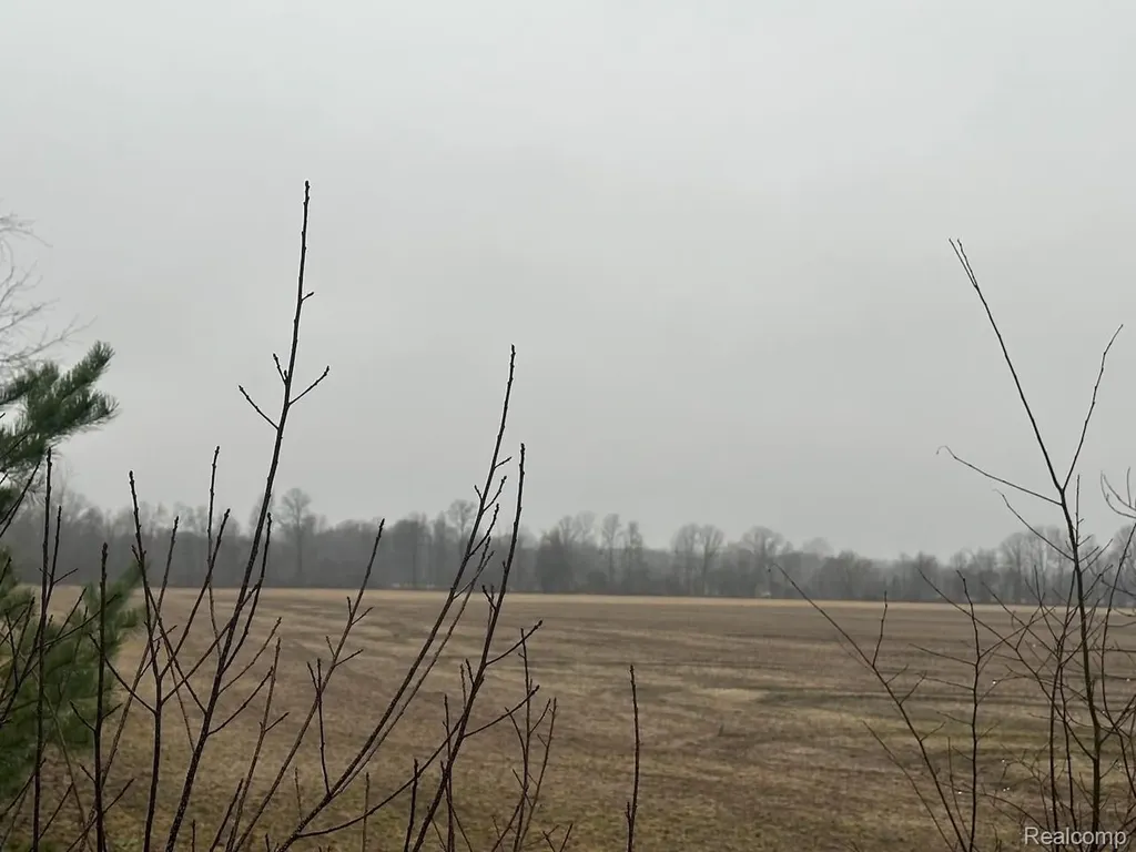0000 Romeo Plank Road Ray Township MI 48096