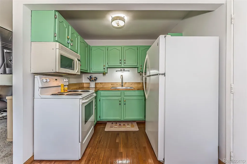 5959 Alan Drive Brighton Township MI 48116
