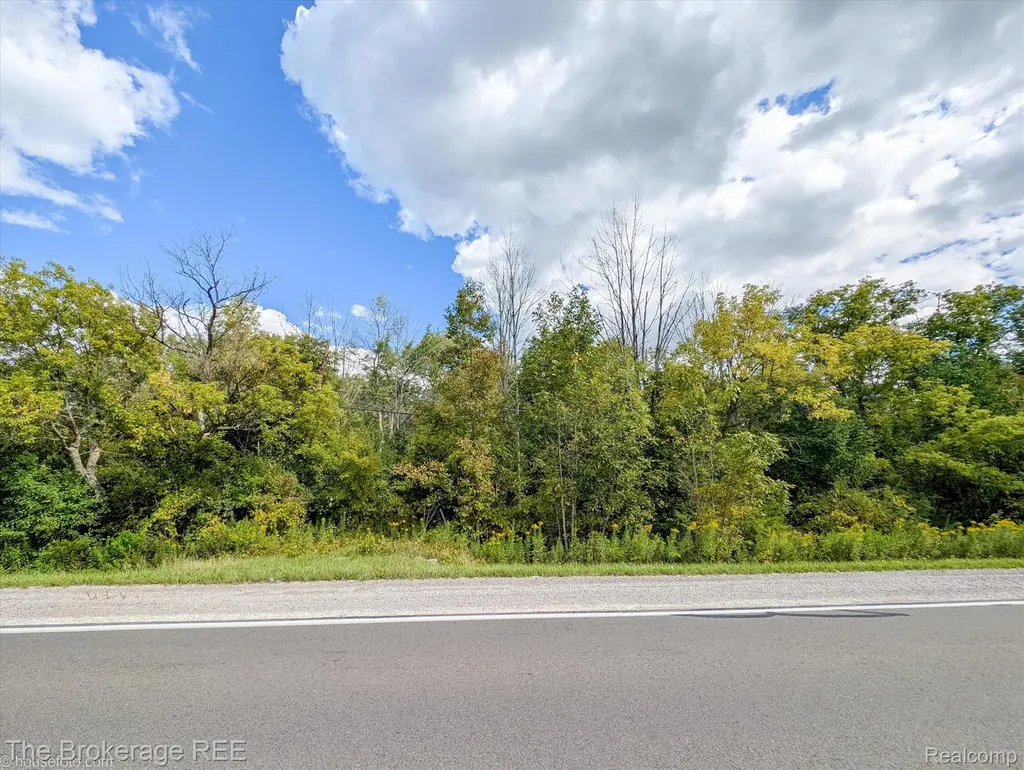 0 Vacant Land N Elms Road Flint City MI 48532