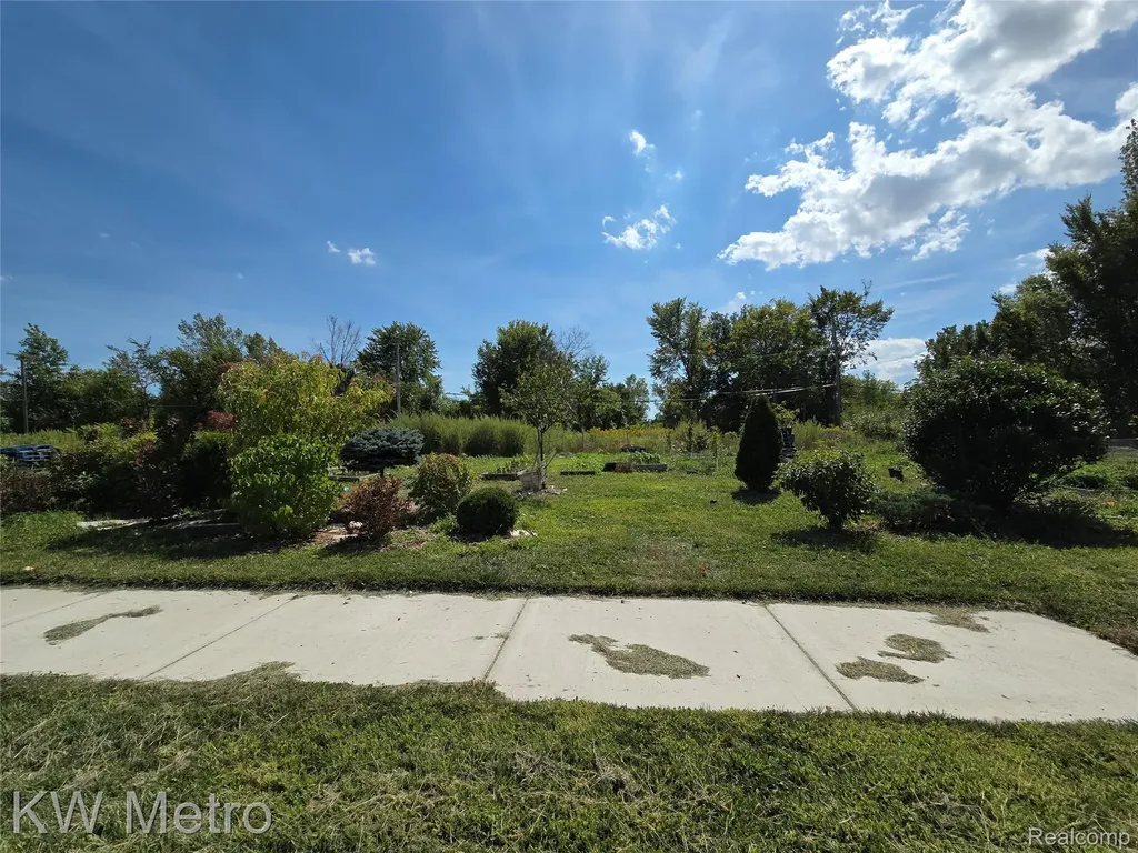 14166 Mayfield Street Detroit City MI 48205