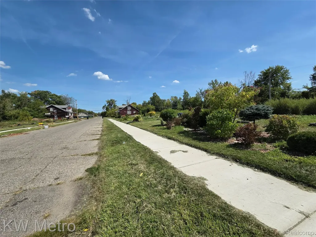 14166 Mayfield Street Detroit City MI 48205