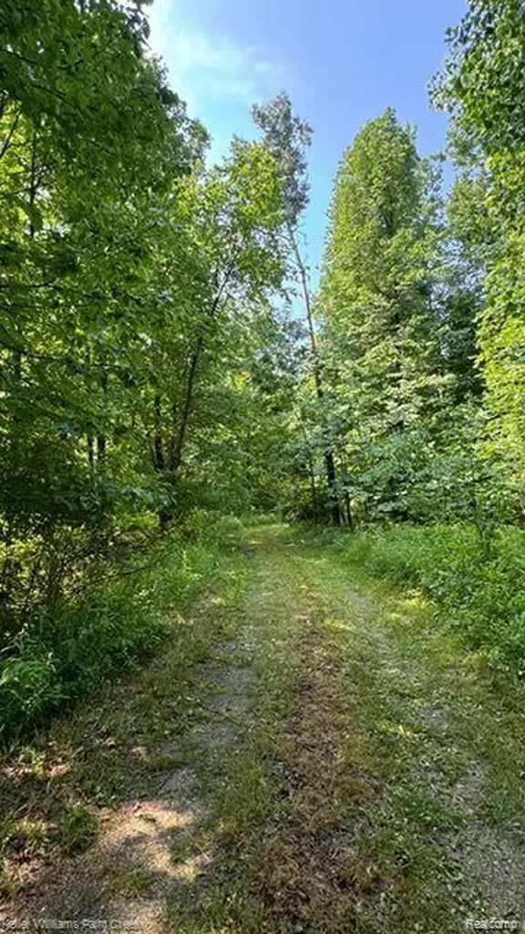0000 Vik-mar Lane Attica Township MI 48412