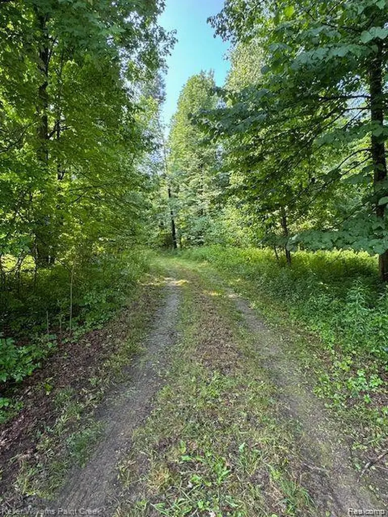 0000 Vik-mar Lane Attica Township MI 48412