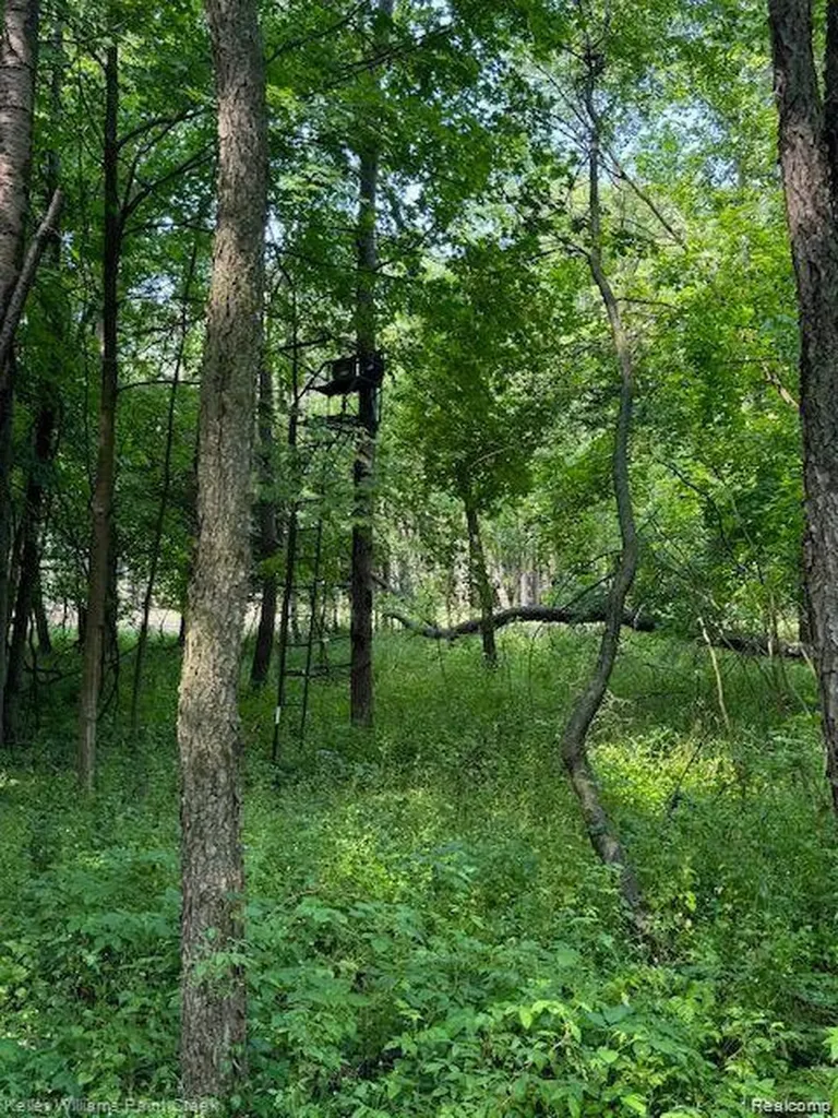 0000 Vik-mar Lane Attica Township MI 48412