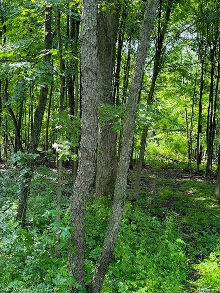 0000 Vik-mar Lane Attica Township MI 48412
