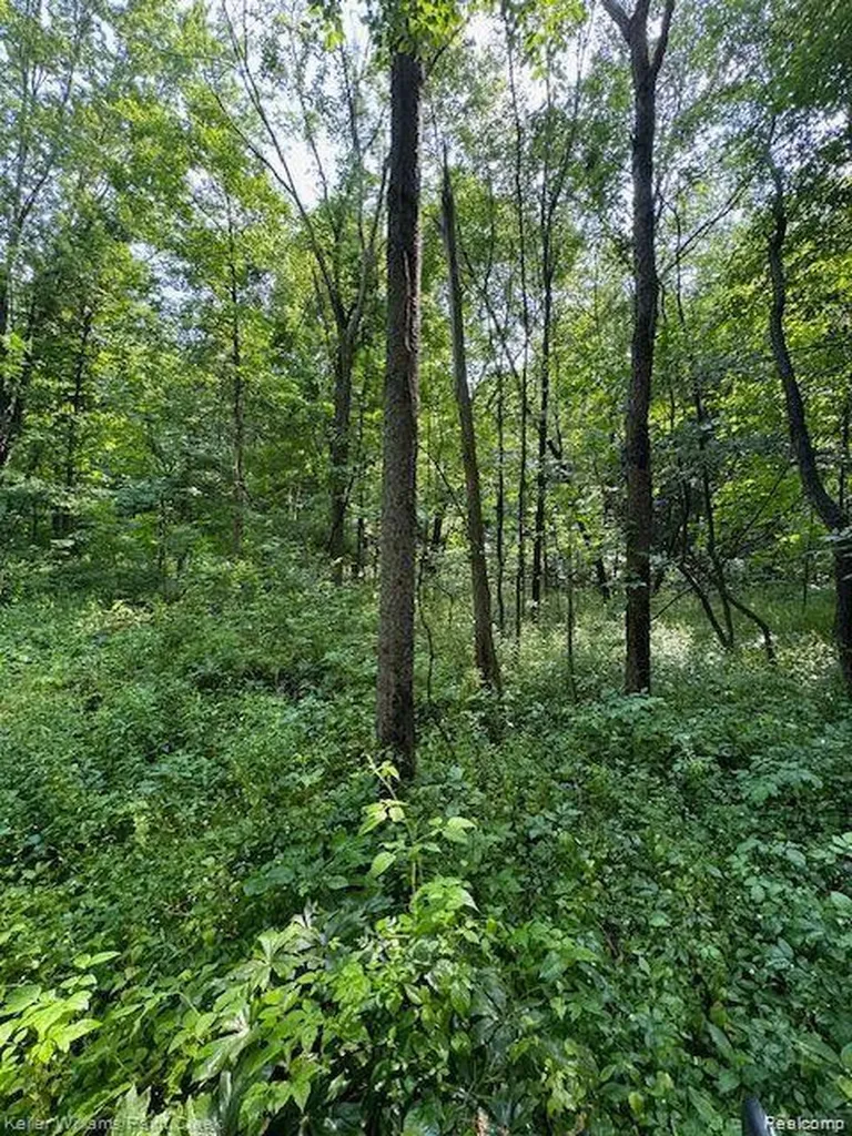 0000 Vik-mar Lane Attica Township MI 48412