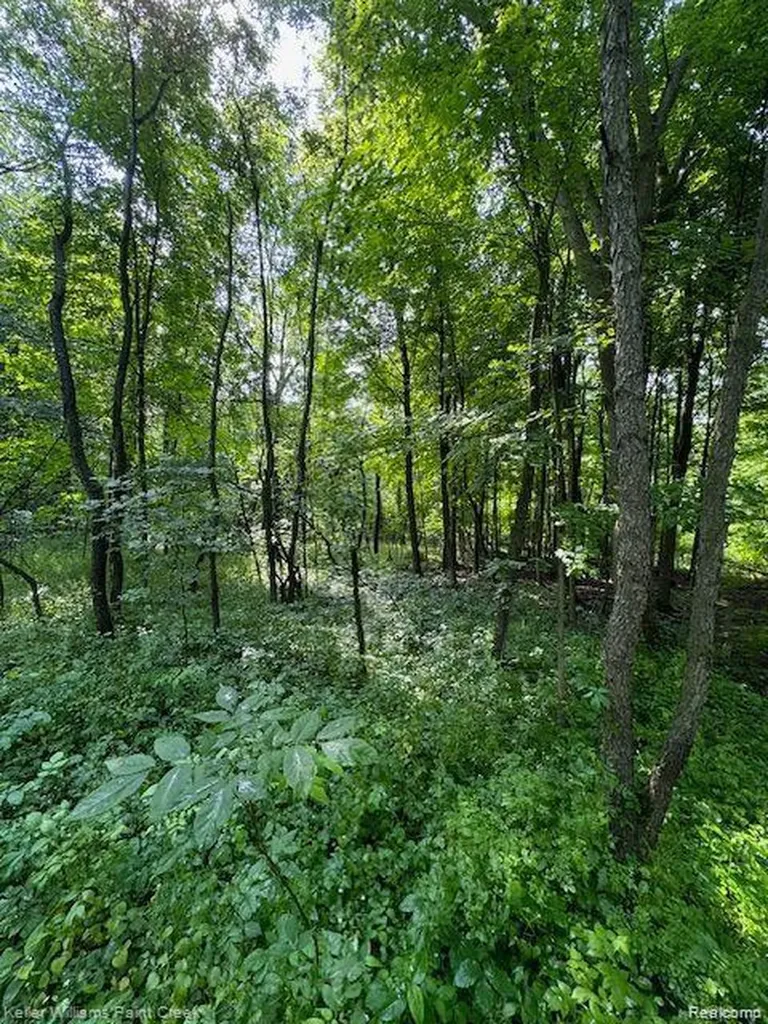 0000 Vik-mar Lane Attica Township MI 48412