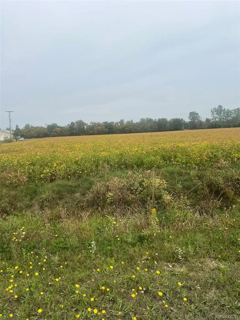 000 Meskill Road Columbus Township MI 48063
