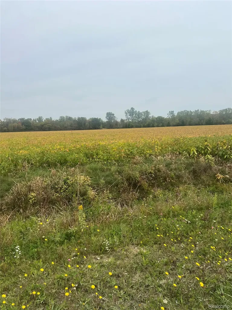 000 Meskill Road Columbus Township MI 48063