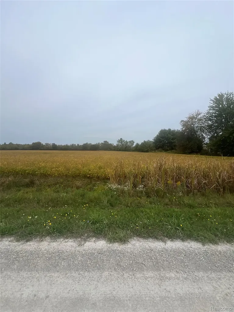 000 Meskill Road Columbus Township MI 48063