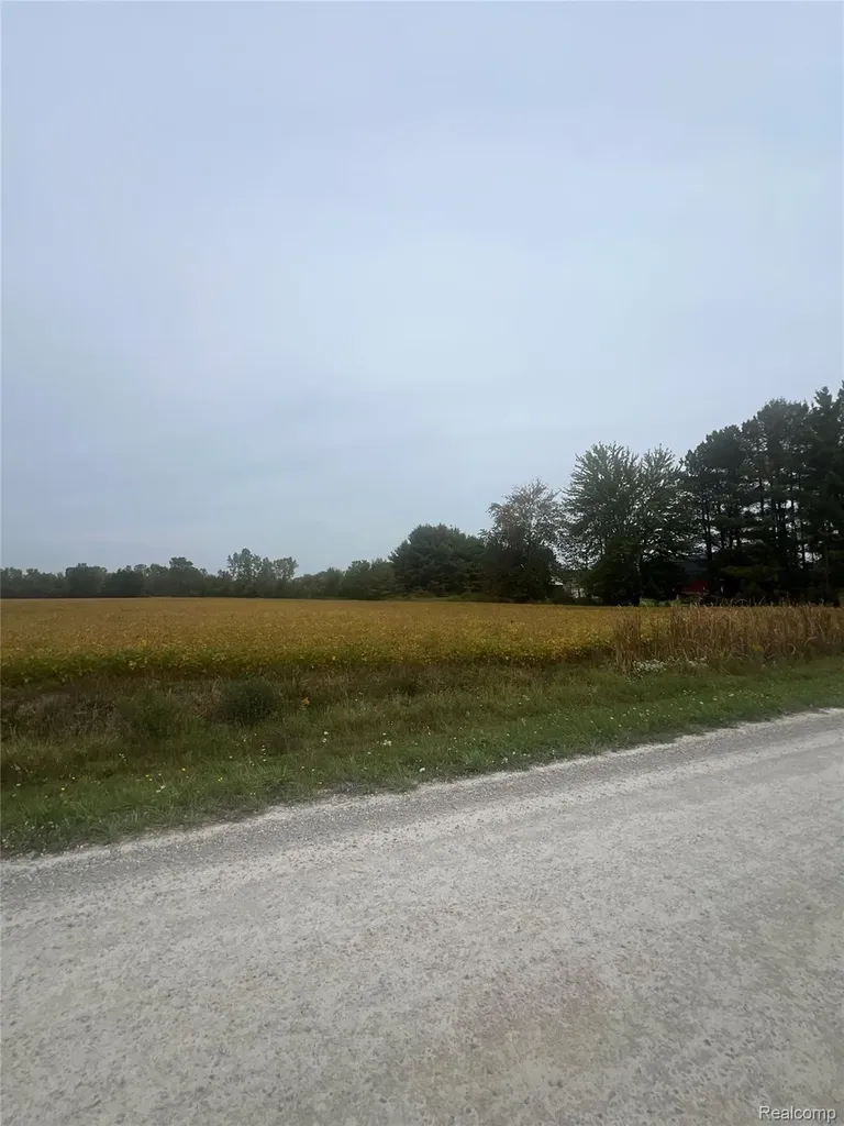 00 Meskill Road Columbus Township MI 48063