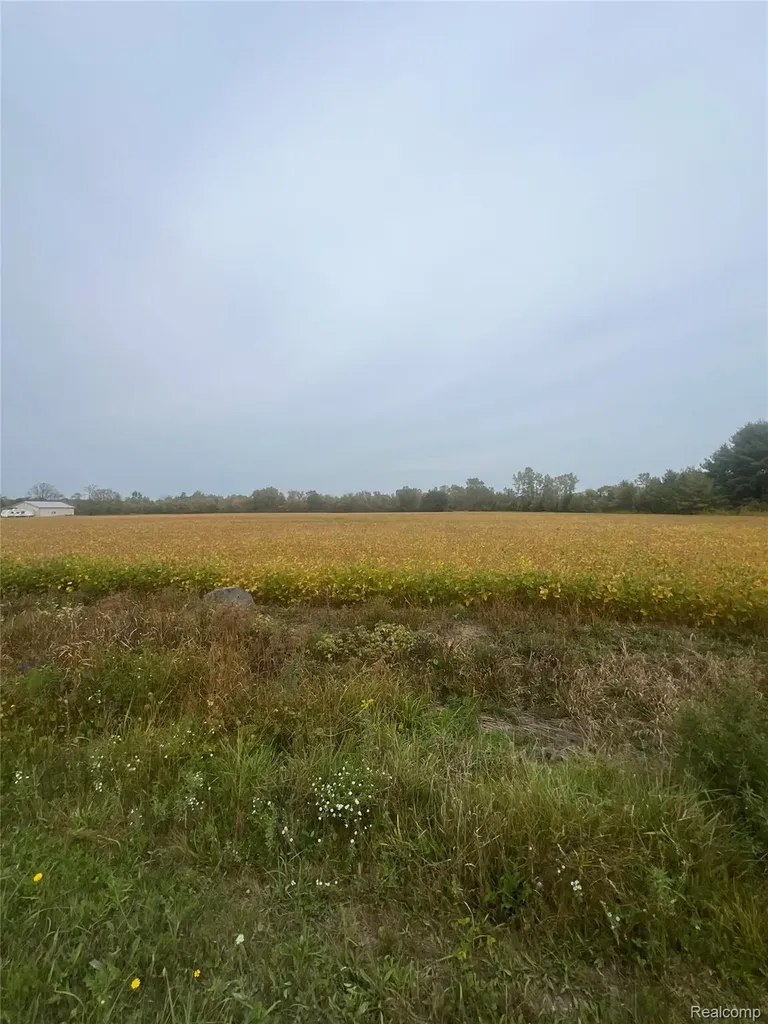 00 Meskill Road Columbus Township MI 48063