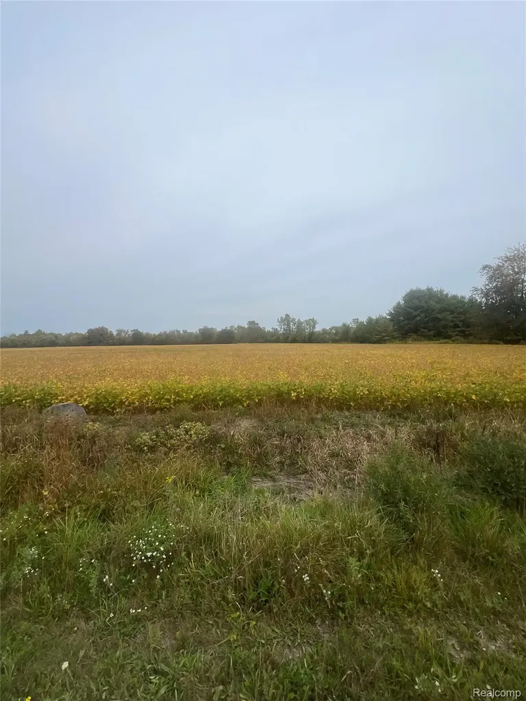 00 Meskill Road Columbus Township MI 48063