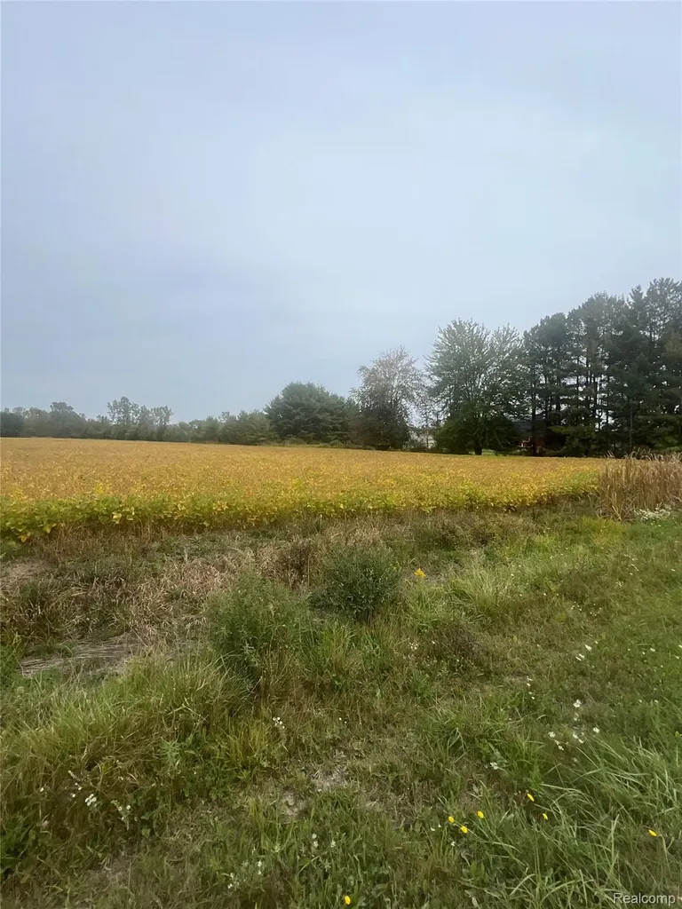 00 Meskill Road Columbus Township MI 48063