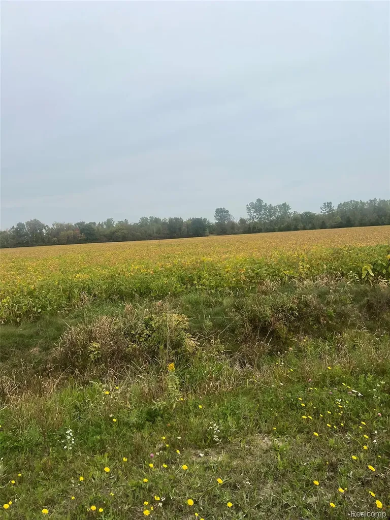 00 Meskill Road Columbus Township MI 48063