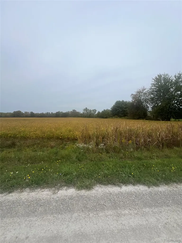 00 Meskill Road Columbus Township MI 48063