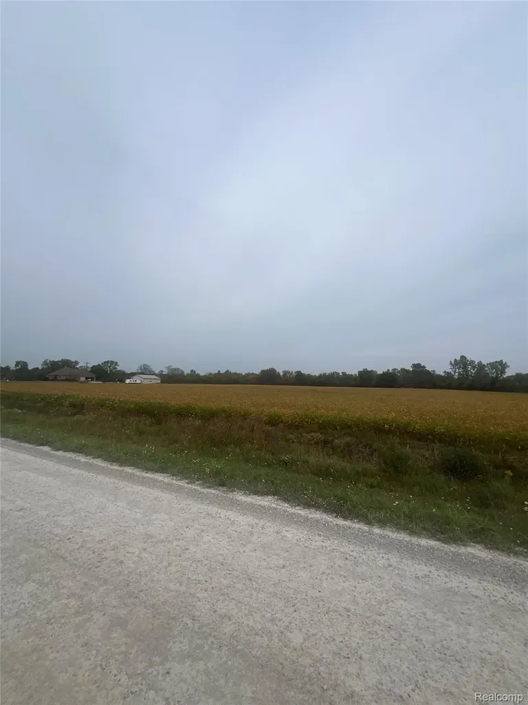 00 Meskill Road Columbus Township MI 48063