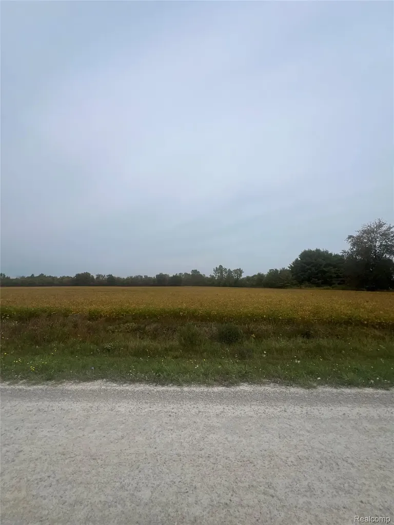 00 Meskill Road Columbus Township MI 48063