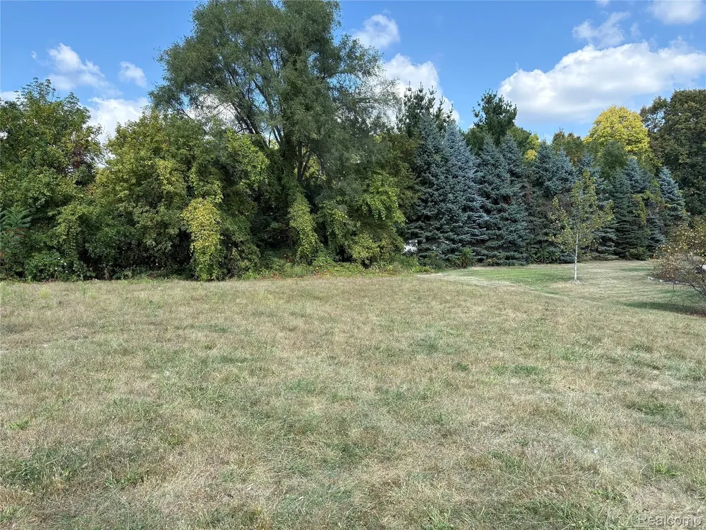 18018 Ridgeview Drive Northville Township MI 48168
