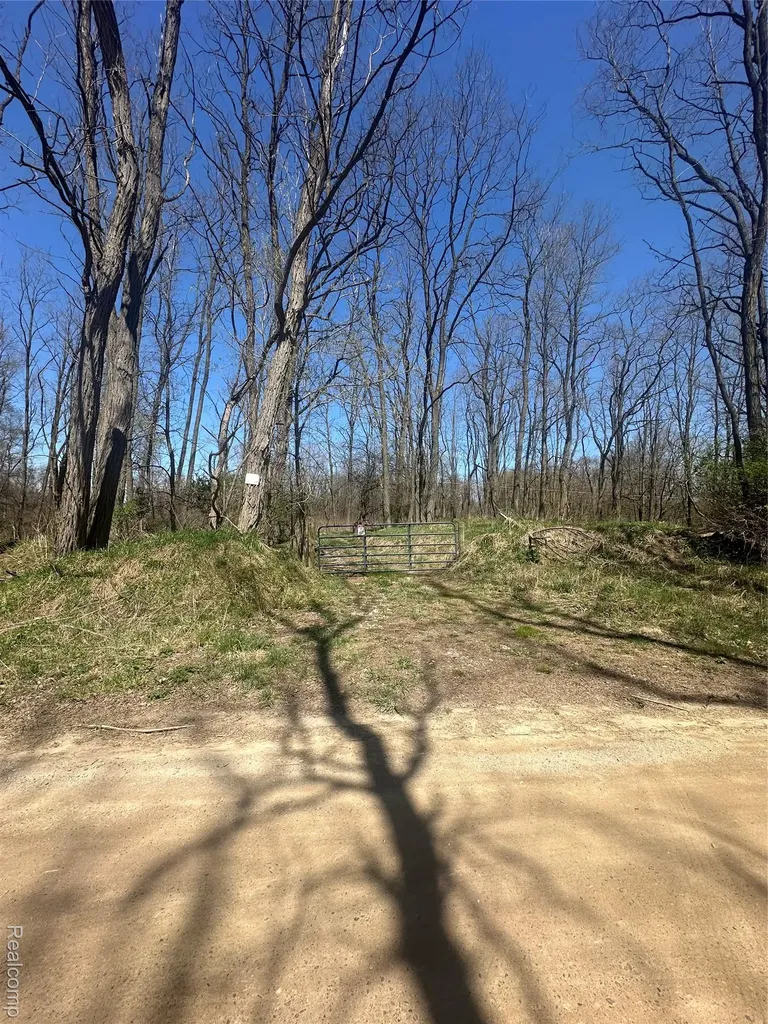 0100 Demode Rose Township MI 48442