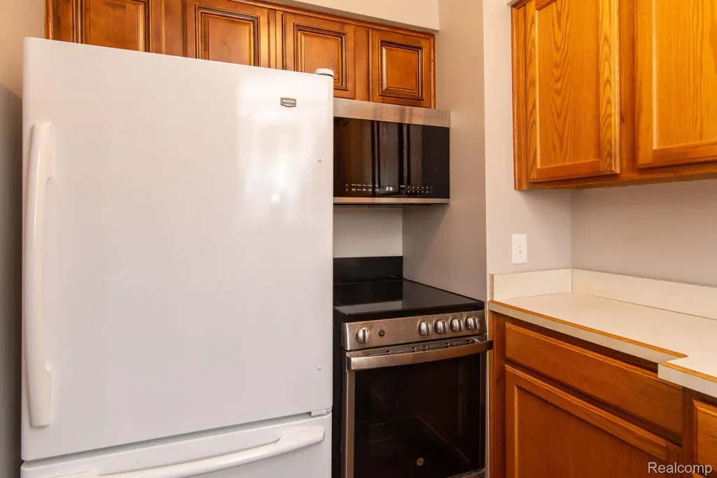 26902 Sandy Hill Lyon Charter Township MI 48165