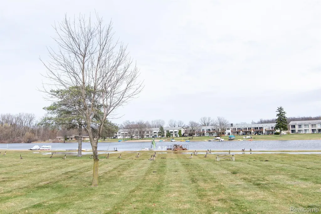 26902 Sandy Hill Lyon Charter Township MI 48165