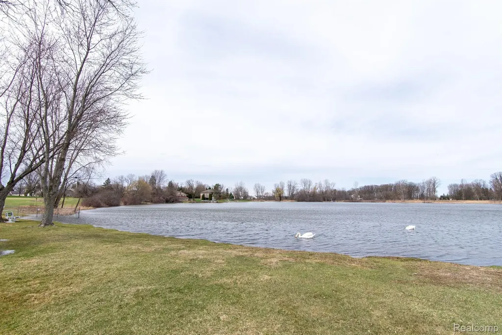 26902 Sandy Hill Lyon Charter Township MI 48165
