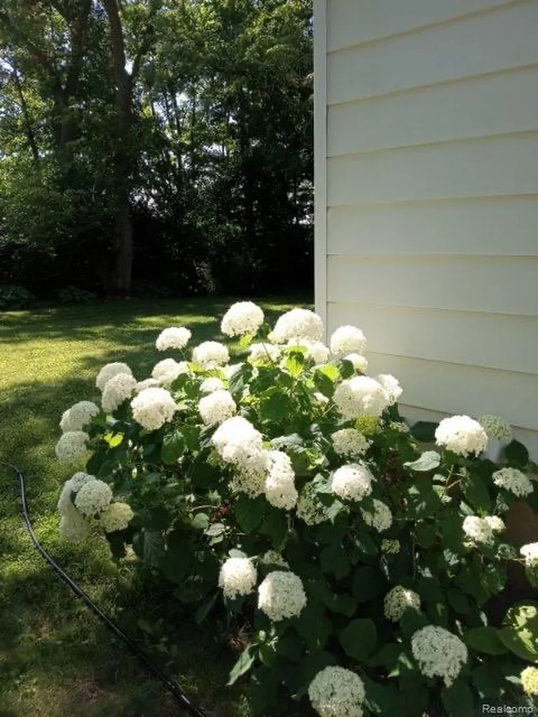 3920 W Ellsworth Road Lodi Township MI 48103