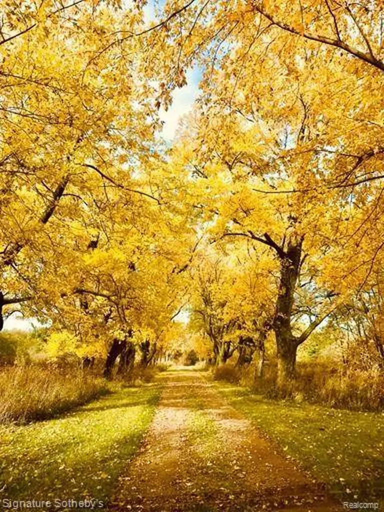 7699 Minnick Road Rubicon Township MI 48441