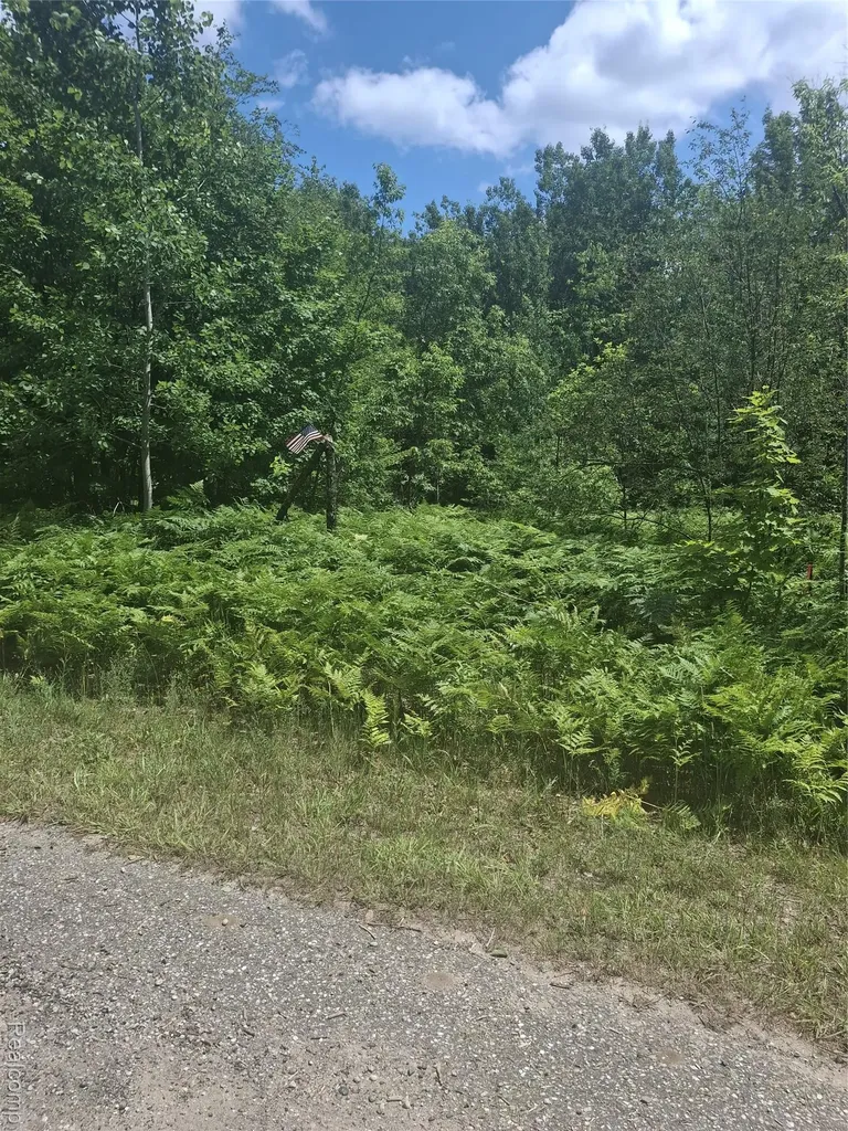 Lot 144 Willamont Circle Lot 144 Circle Mancelona Township MI 49659
