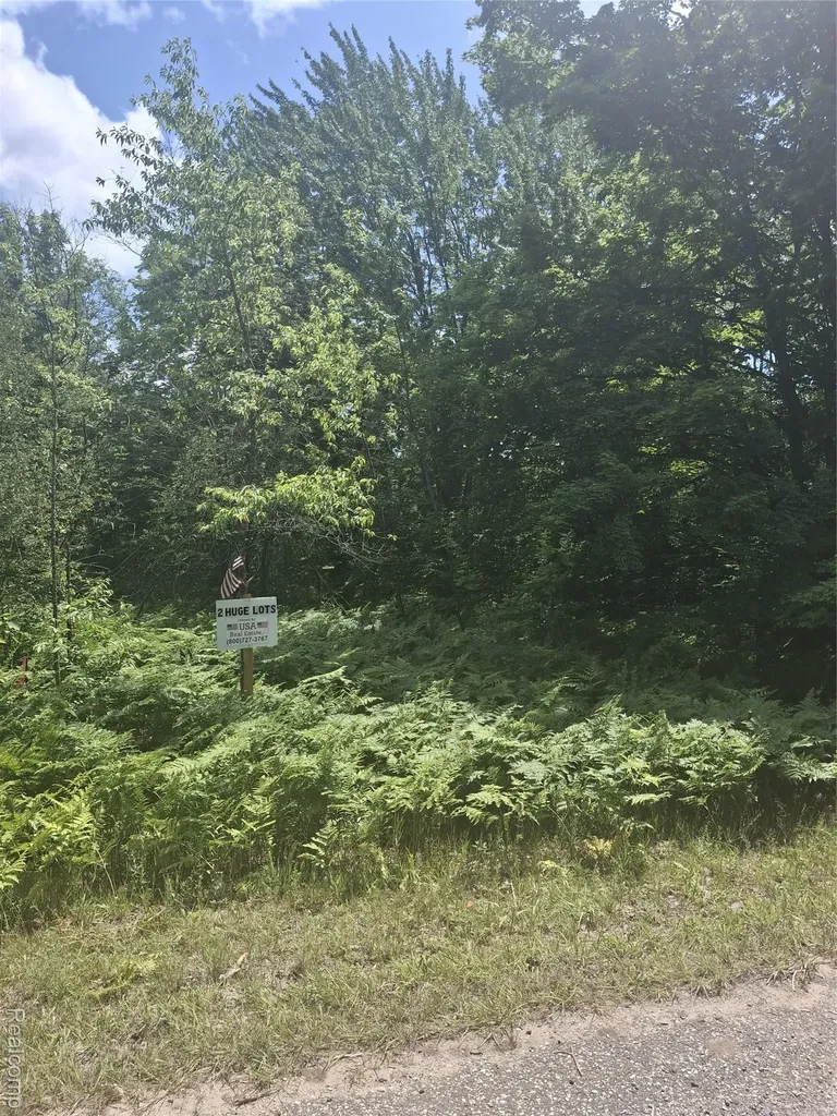 Wilamont Circle Lot 143 Mancelona Township MI 49659