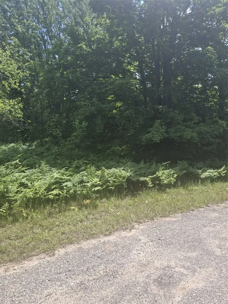 Wilamont Circle Lot 143 Mancelona Township MI 49659