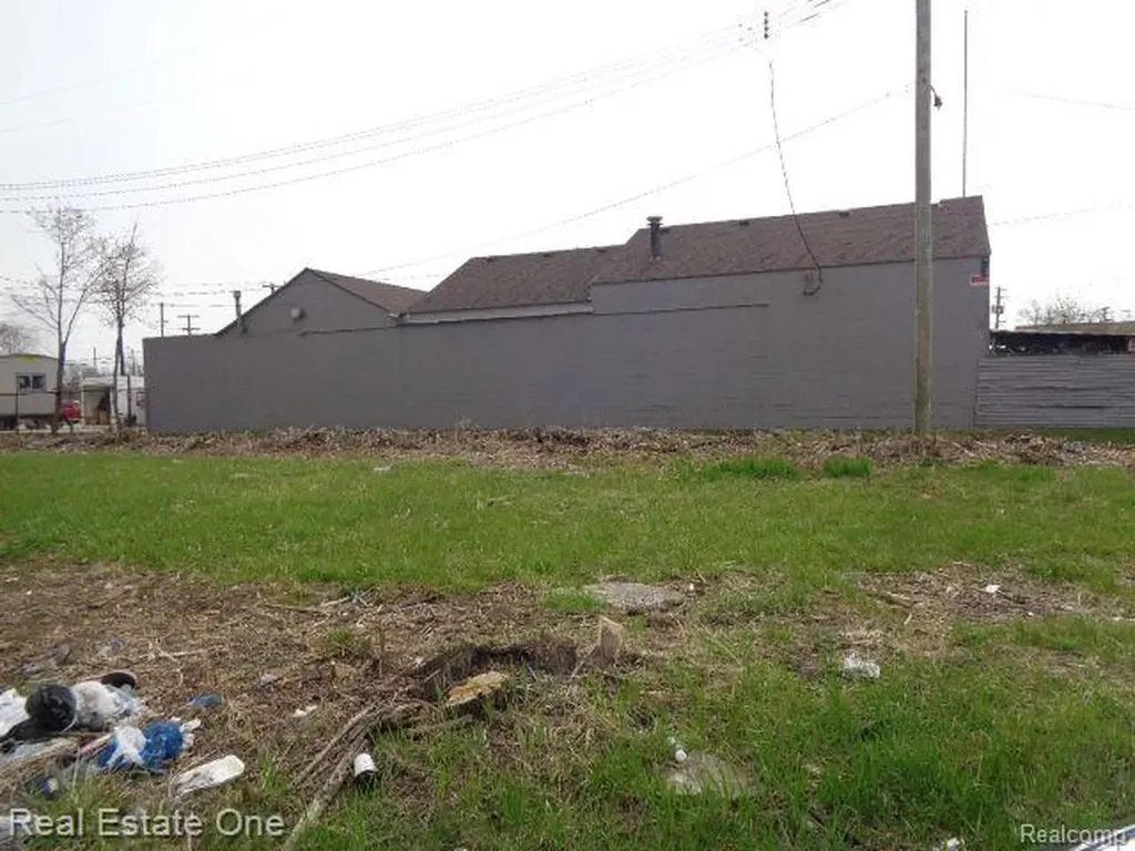 11638 Saint Louis Street Hamtramck City MI 48212