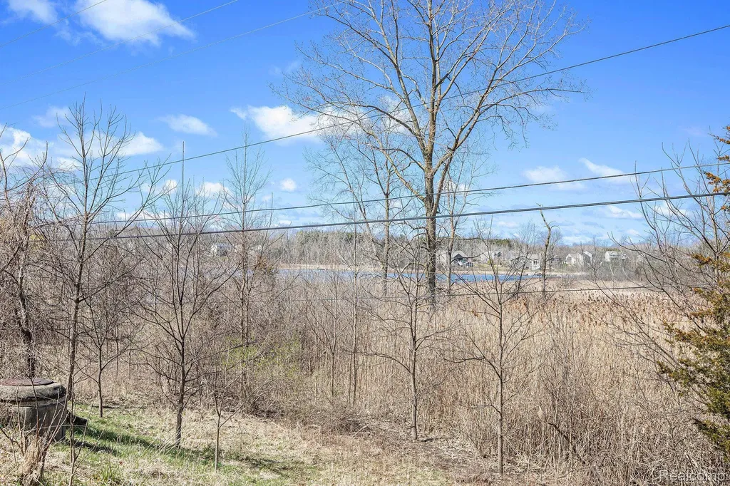 02 Butcher Road Fenton Charter Township MI 48430
