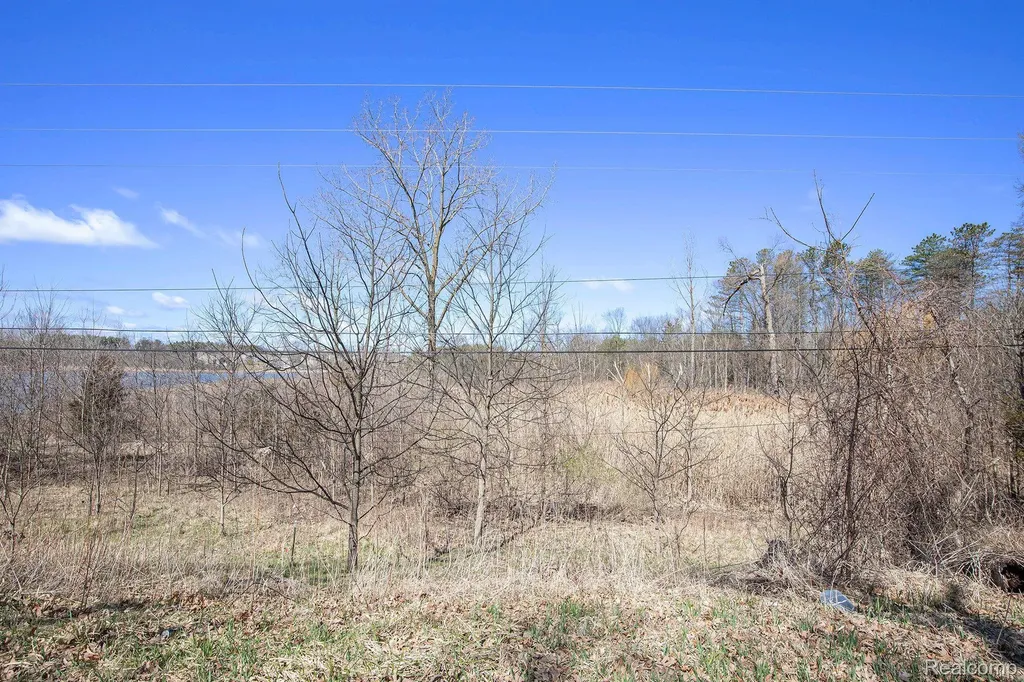 02 Butcher Road Fenton Charter Township MI 48430