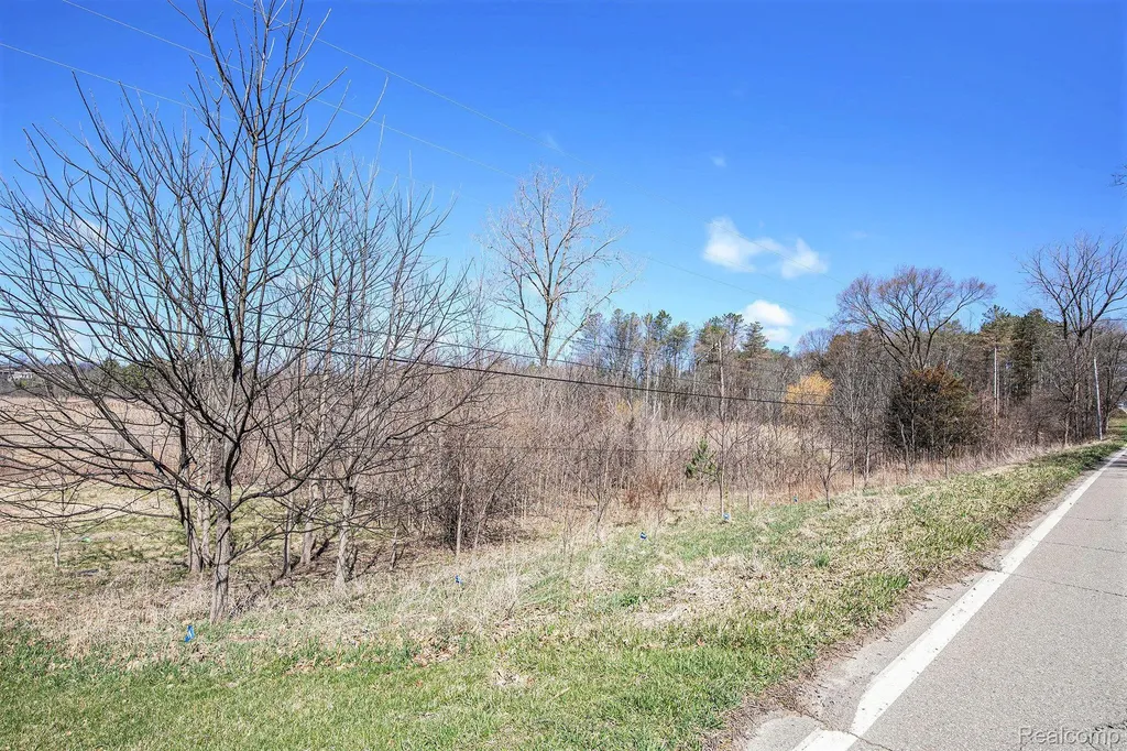 02 Butcher Road Fenton Charter Township MI 48430