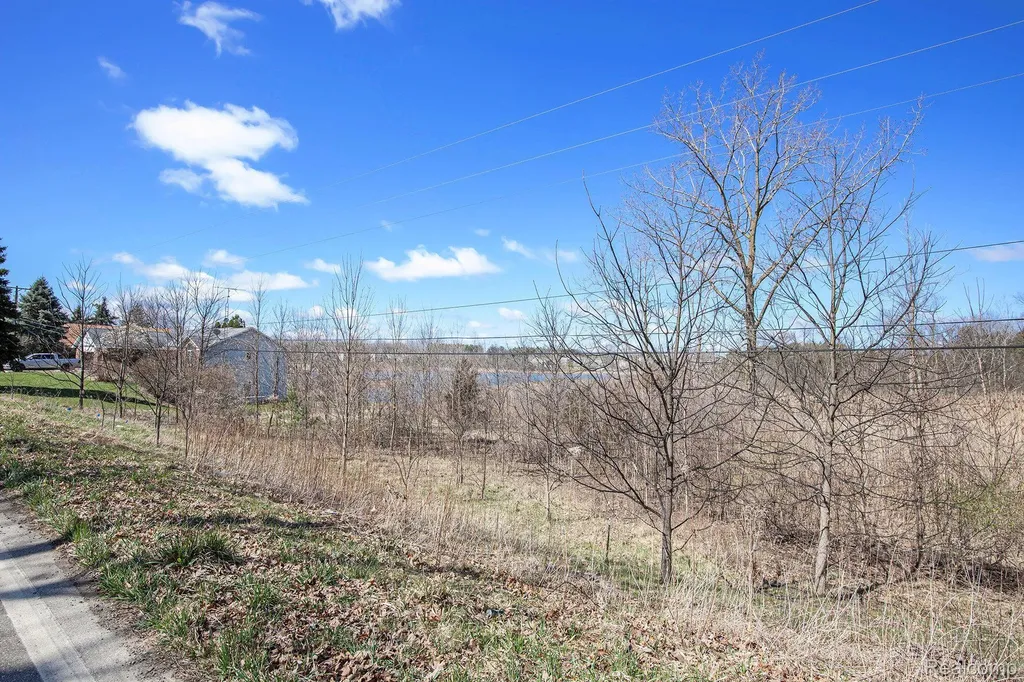 01 Butcher Road Fenton Charter Township MI 48430