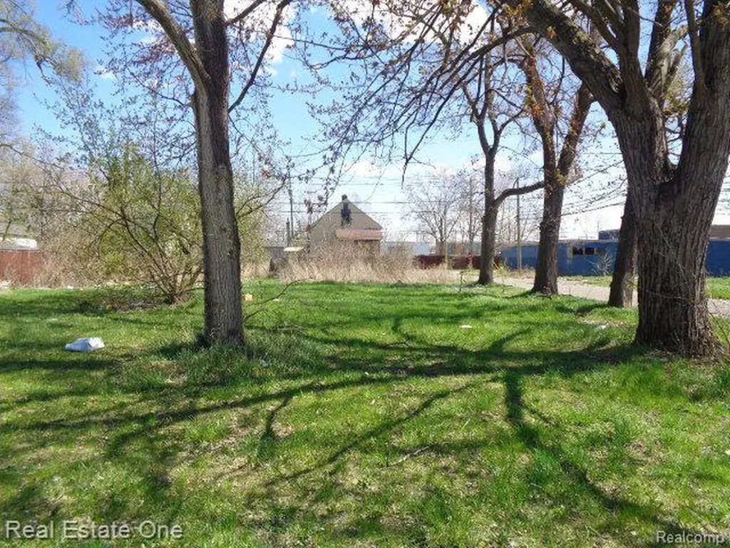 11802 Saint Louis Street Hamtramck City MI 48212