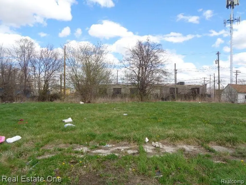 11682 Saint Louis Street Detroit City MI 48212