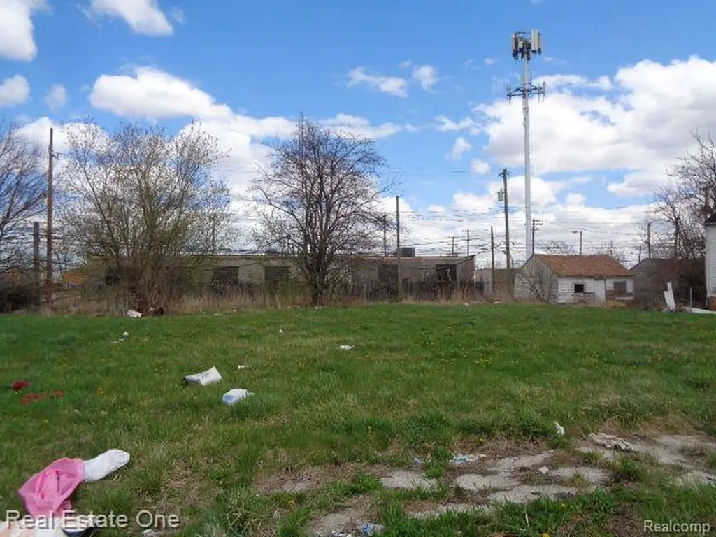 11682 Saint Louis Street Detroit City MI 48212
