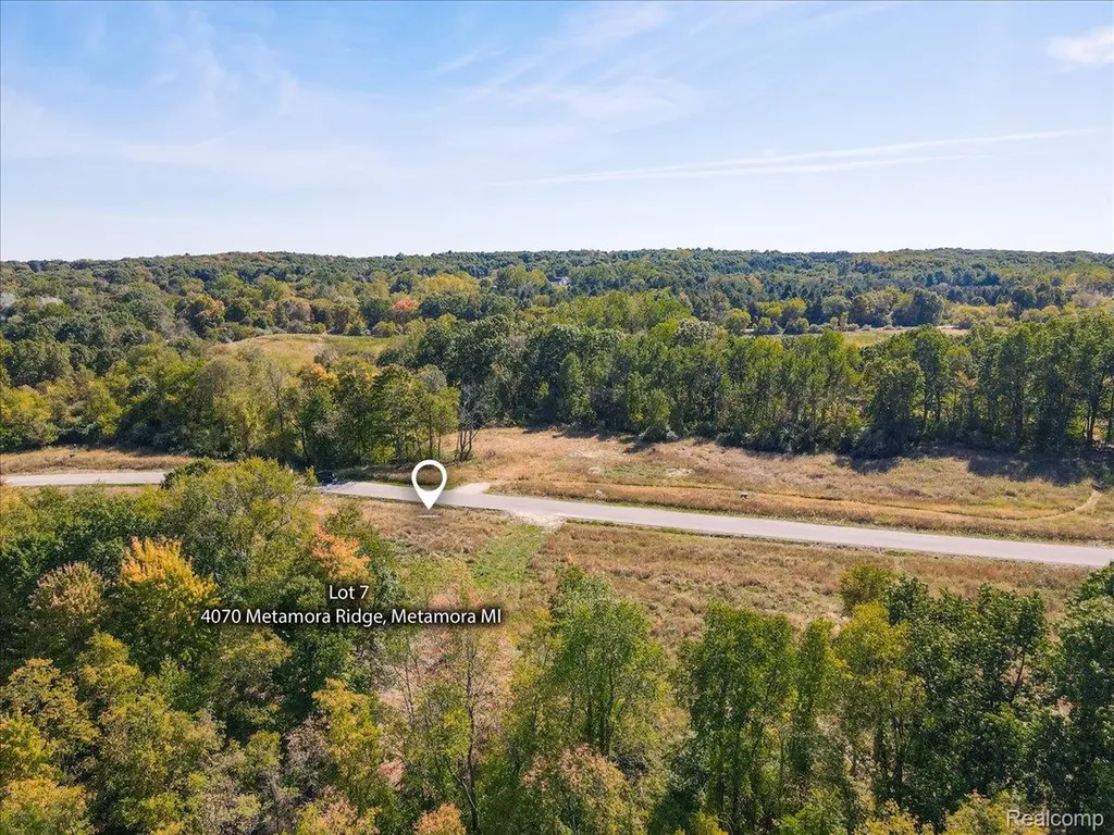 4070 Metamora Ridge Metamora Village MI 48455