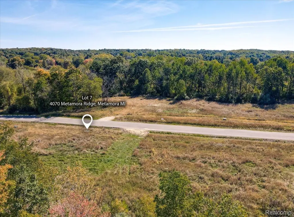 4070 Metamora Ridge Metamora Village MI 48455