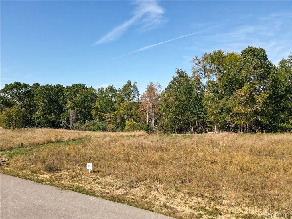 4070 Metamora Ridge Metamora Village MI 48455