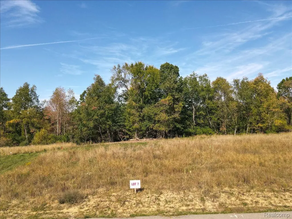 4070 Metamora Ridge Metamora Village MI 48455