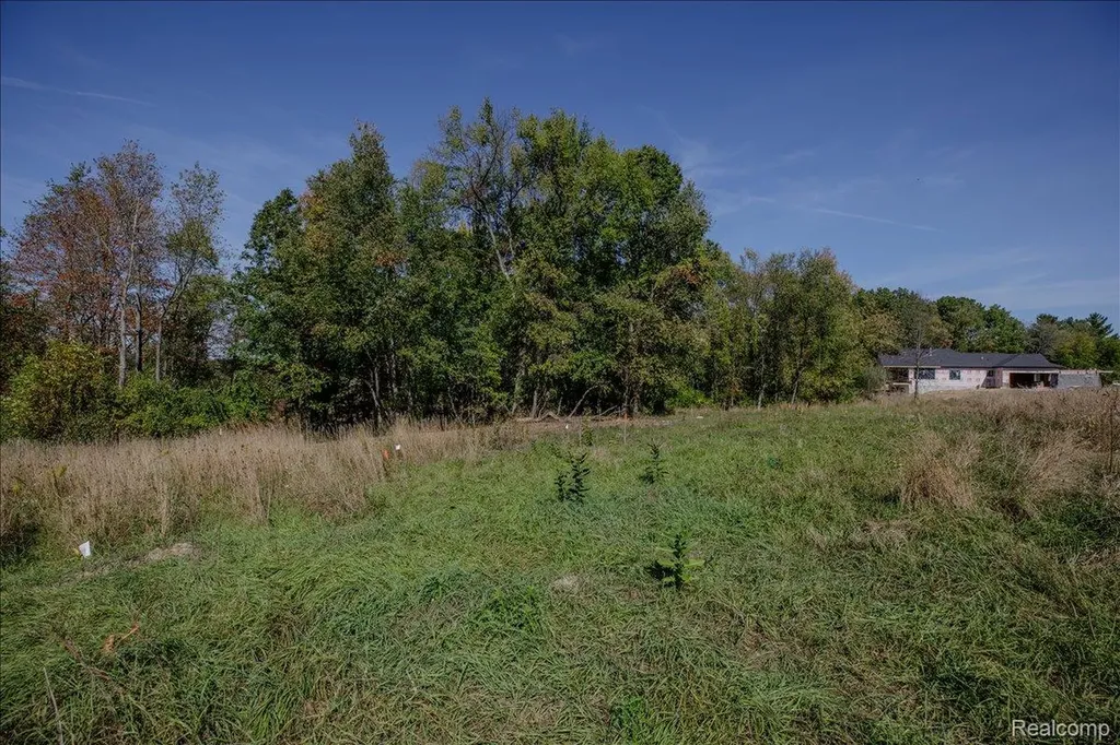 4070 Metamora Ridge Metamora Village MI 48455