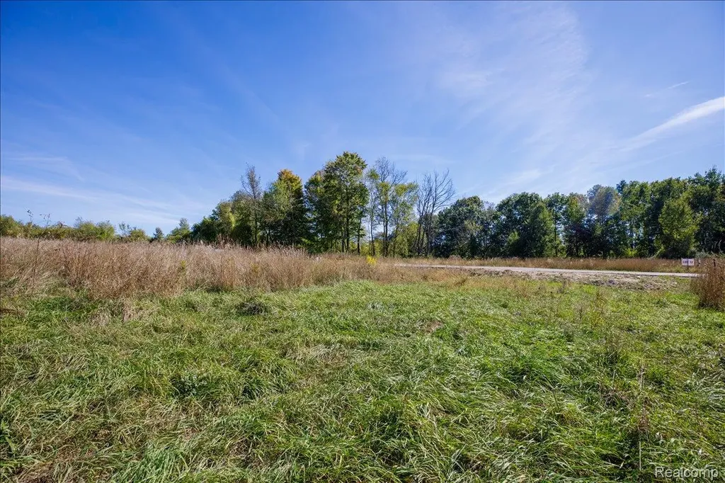 4070 Metamora Ridge Metamora Village MI 48455