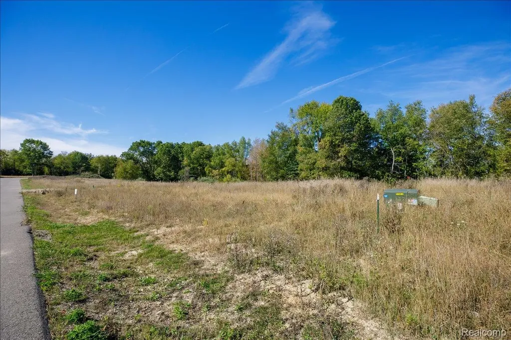 4070 Metamora Ridge Metamora Village MI 48455