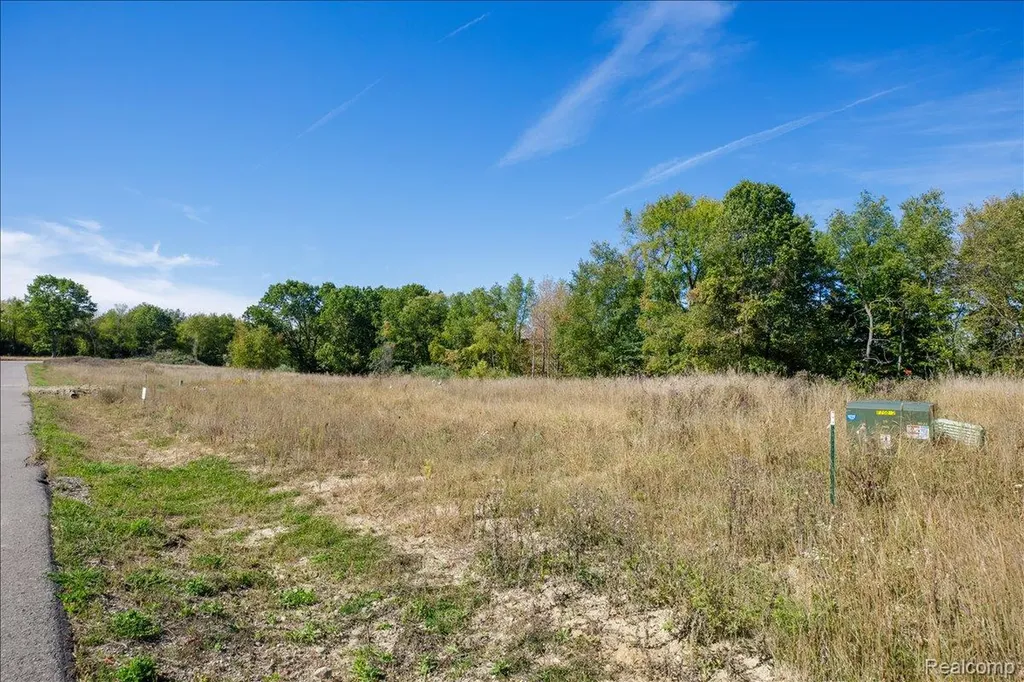 4070 Metamora Ridge Metamora Village MI 48455